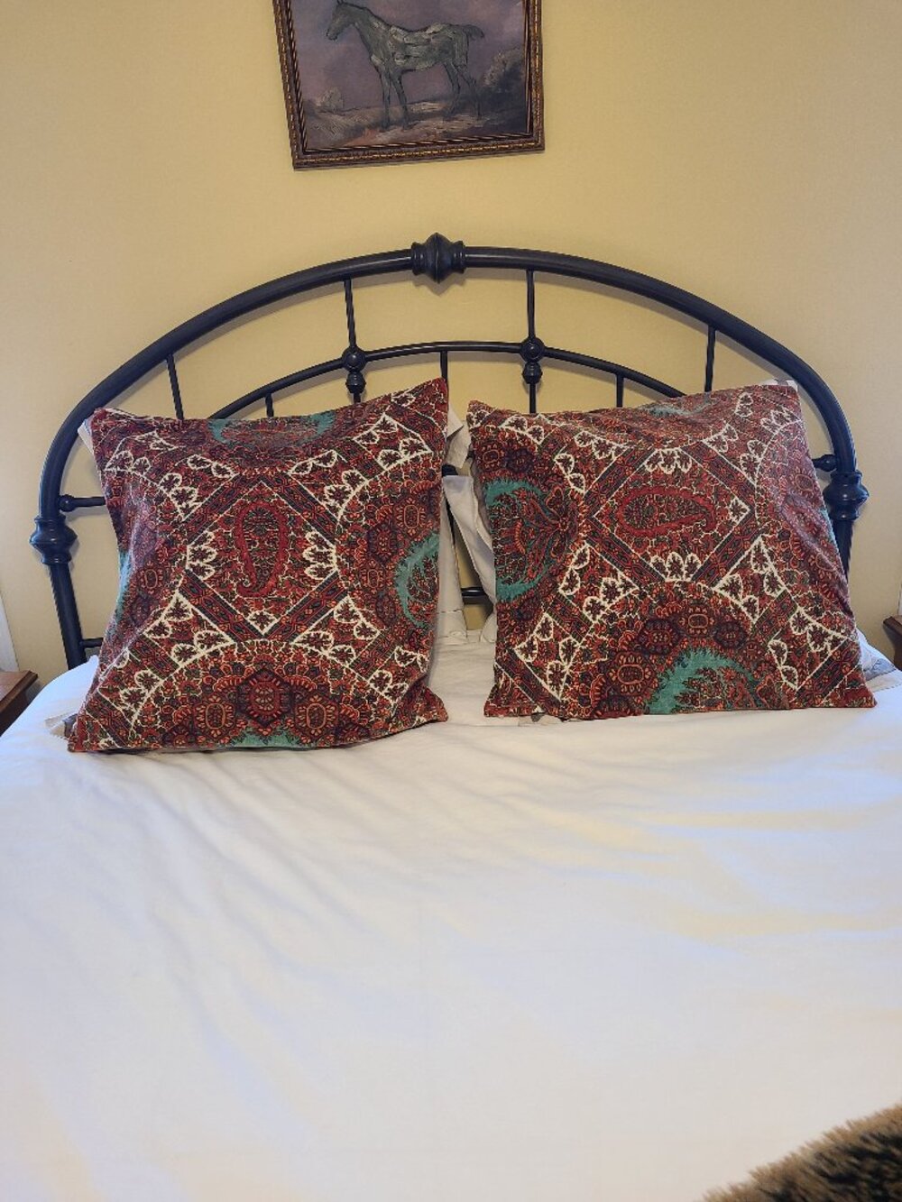 Pottery Barn Euro Shams velvet